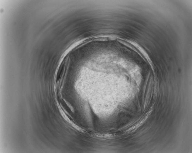 X0000087400957200705042032