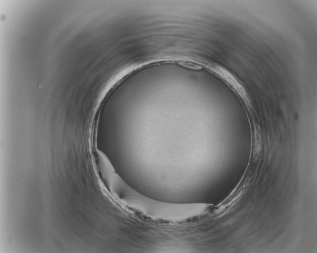 X0000087400958200705042032