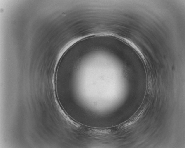 X0000087400959200705042032