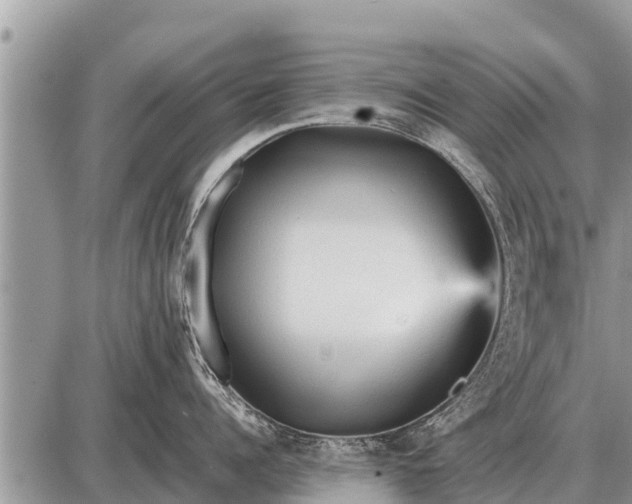 X0000087400960200705042032