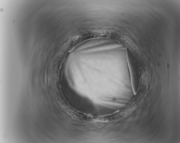 X0000087400961200705042031