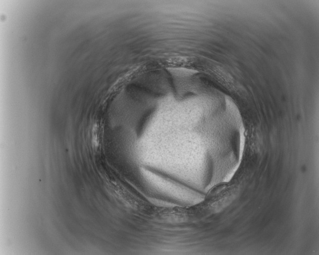 X0000087400962200705042031