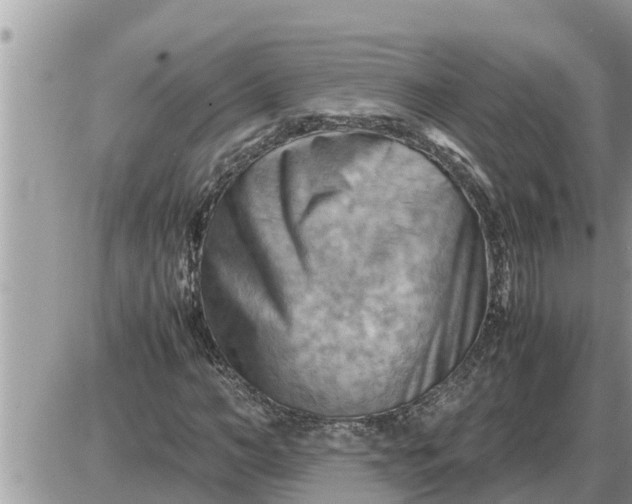 X0000087400966200705042031