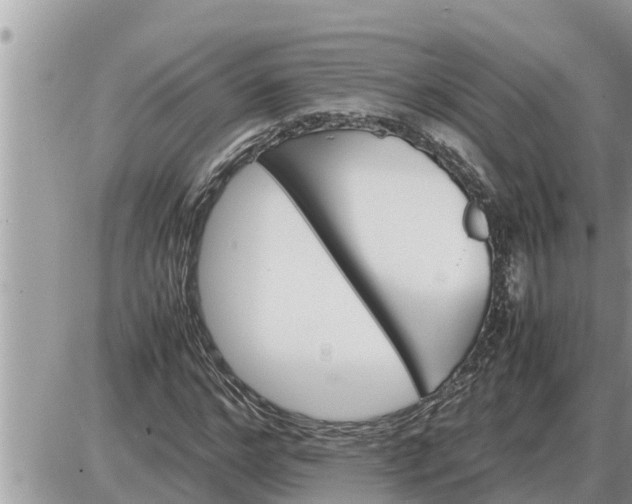 X0000087400968200705042031