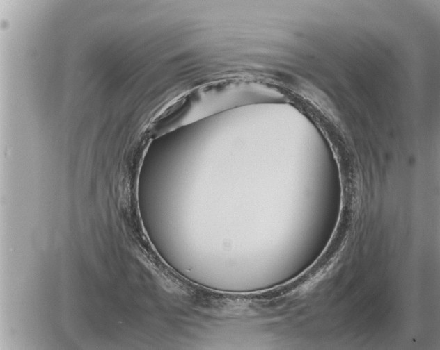 X0000087400969200705042031