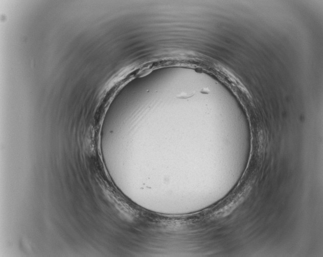 X0000087400970200705042031