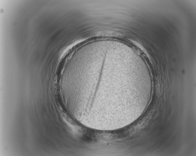 X0000087400971200705042031