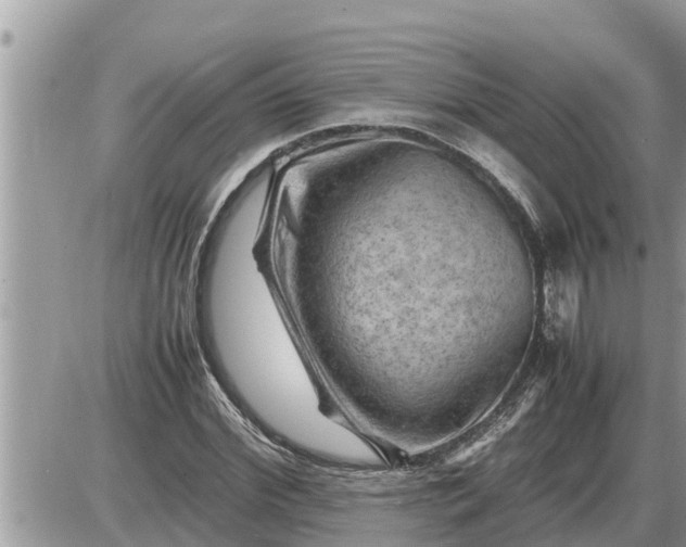 X0000087400972200705042031