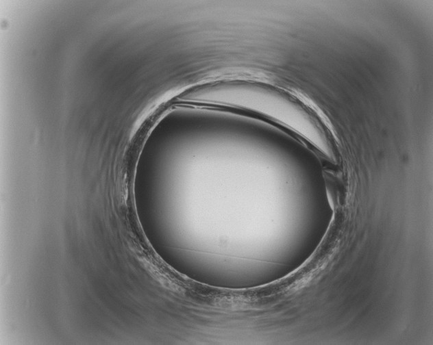 X0000087400973200705042031