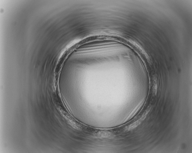 X0000087400974200705042031