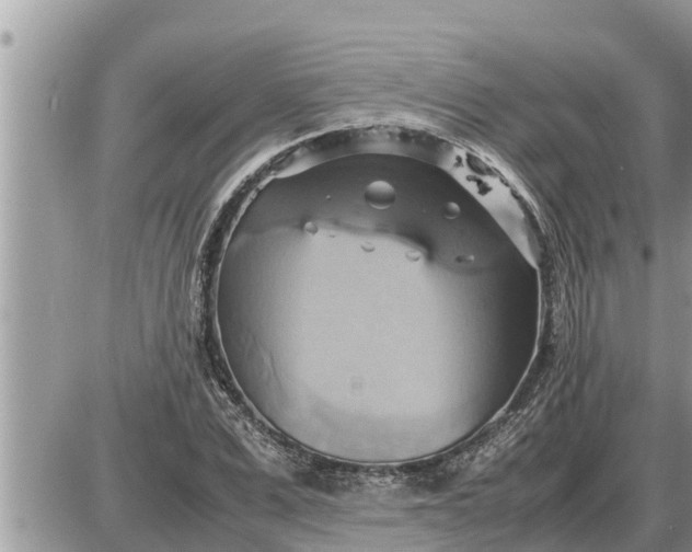 X0000087400975200705042031