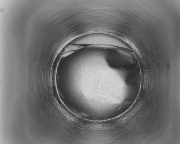 X0000087400976200705042031