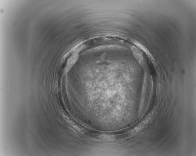 X0000087400977200705042031