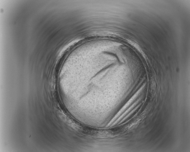 X0000087400979200705042031