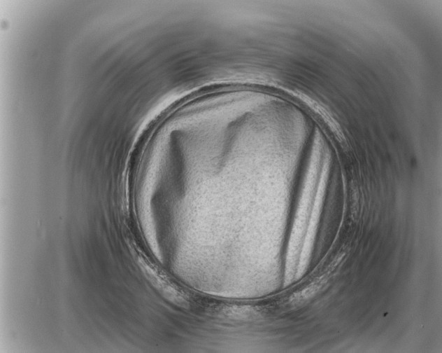 X0000087400982200705042031