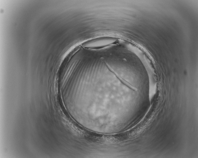 X0000087400983200705042031