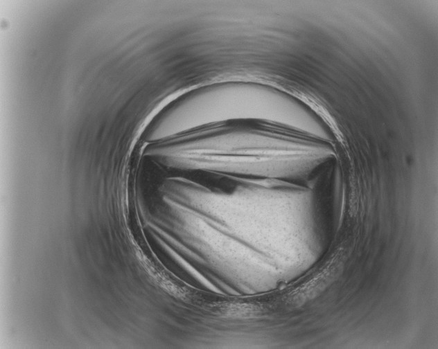 X0000087400984200705042031