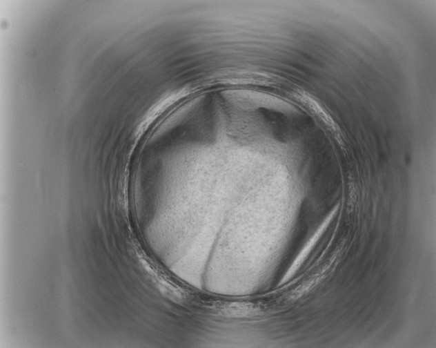 X0000087400986200705042031