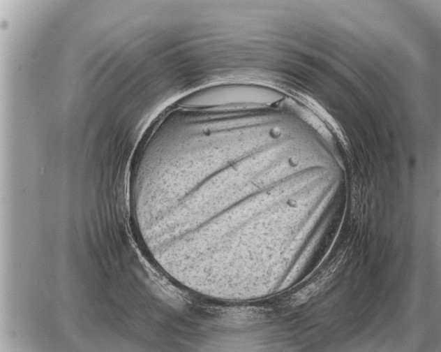 X0000087400988200705042031