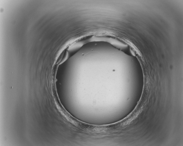 X0000087400989200705042031