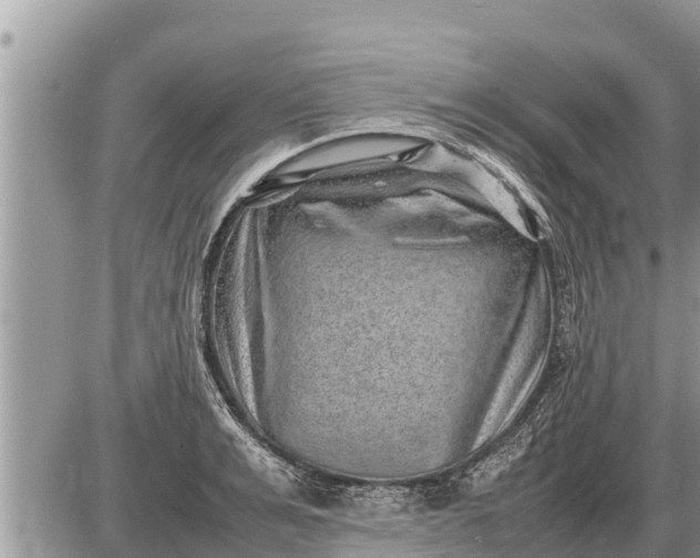 X0000087400991200705042031