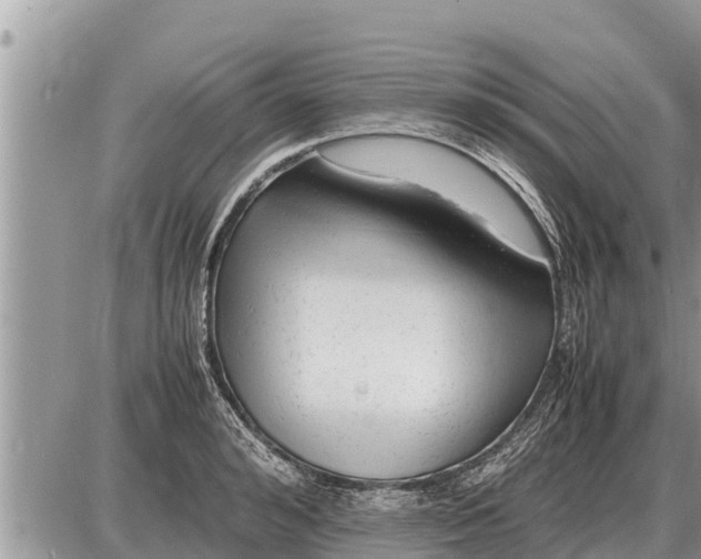 X0000087400992200705042031