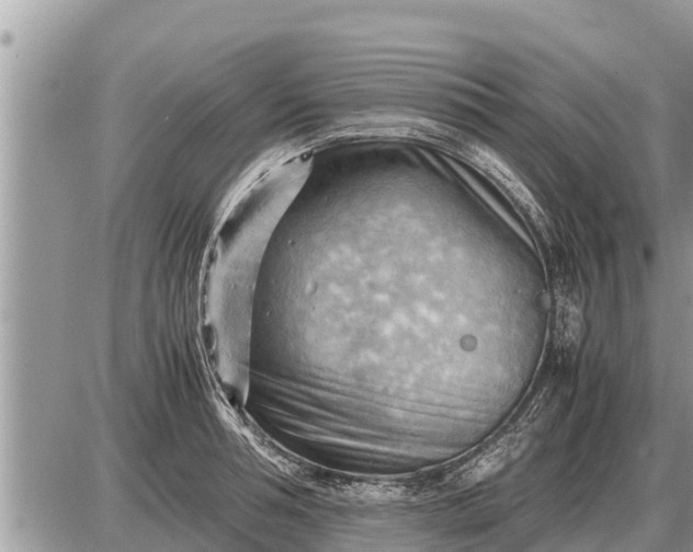 X0000087400994200705042031