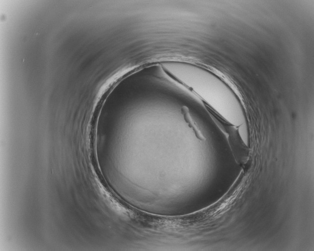 X0000087400995200705042031