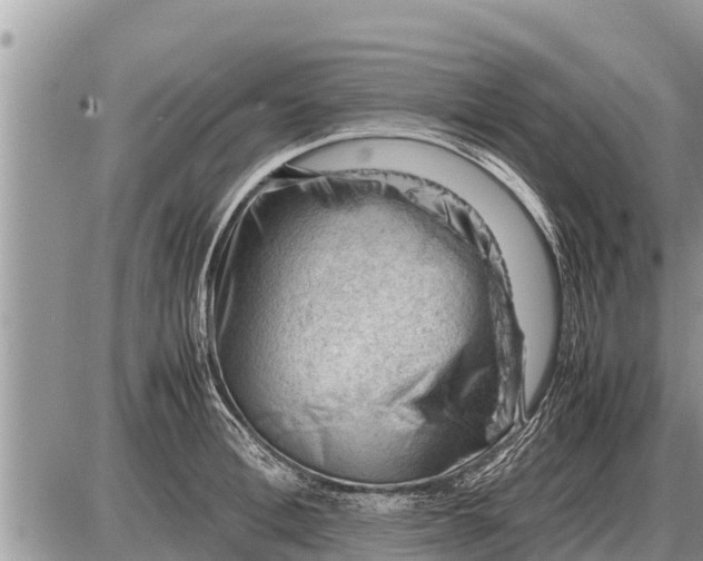 X0000087400996200705042031