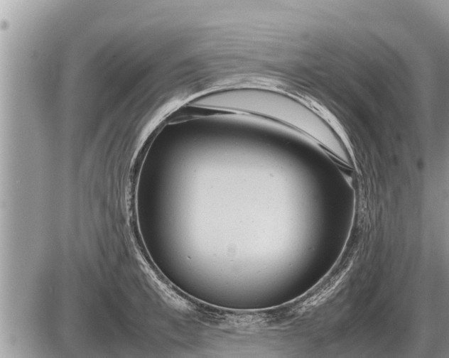 X0000087400997200705042031