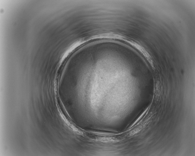 X0000087400998200705042031