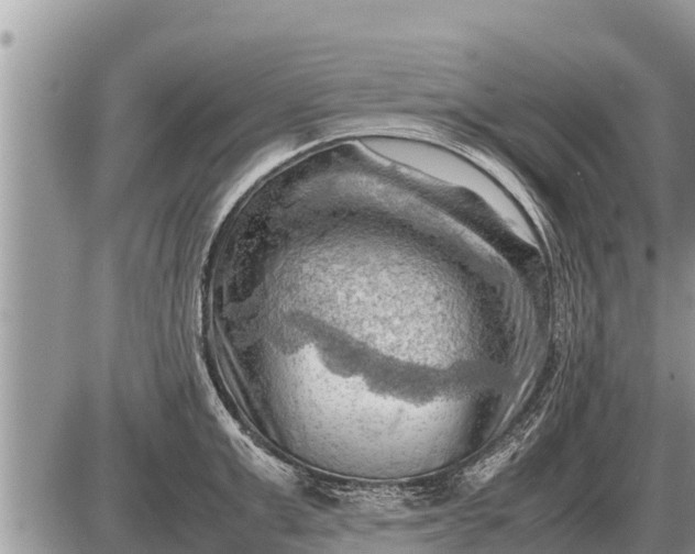 X0000087400999200705042031