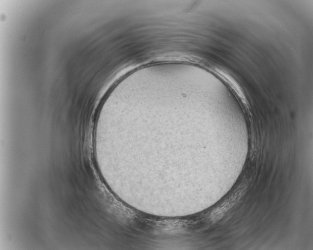 X0000087401000200705042031