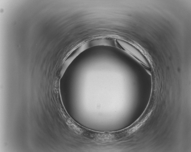 X0000087401001200705042031