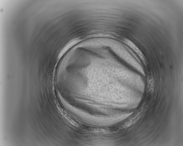 X0000087401002200705042031