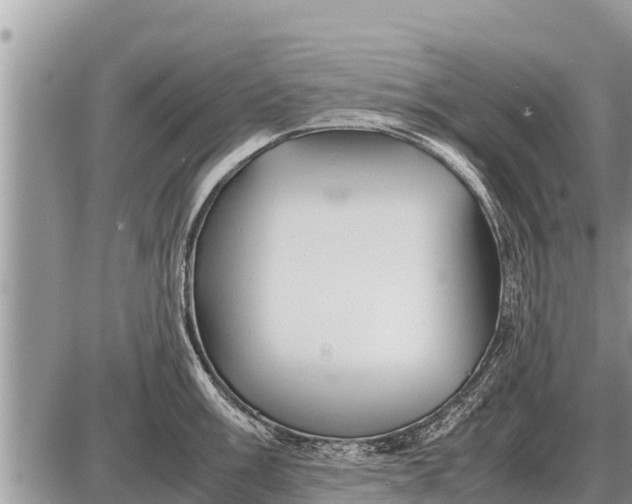 X0000087401003200705042031