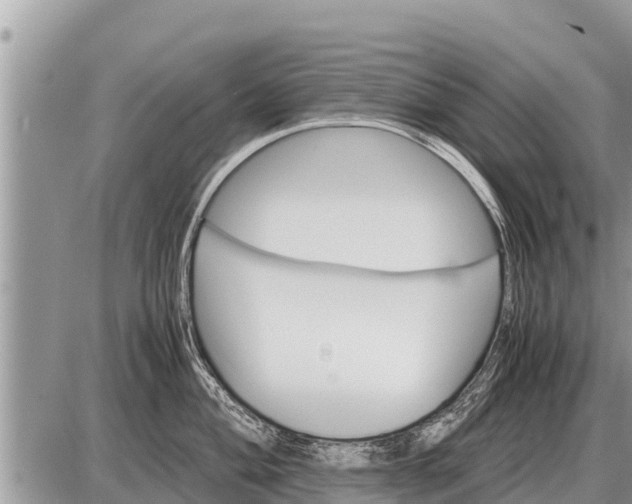 X0000087401004200705042031