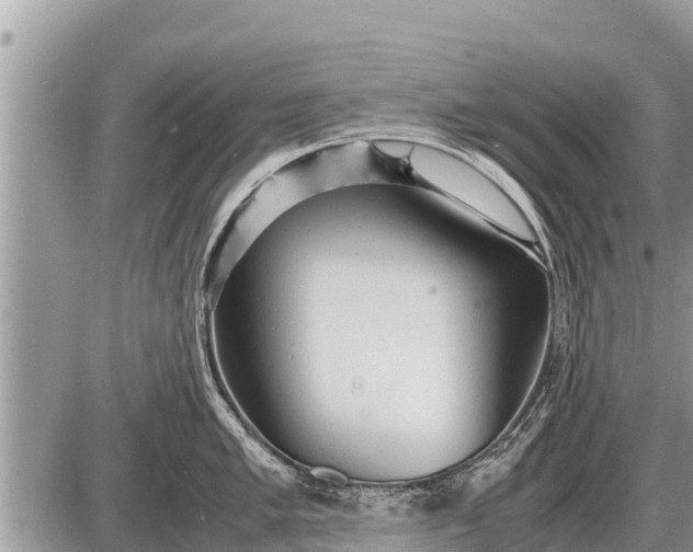 X0000087401005200705042031