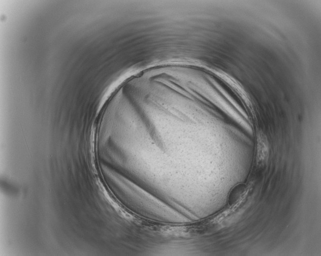 X0000087401006200705042031