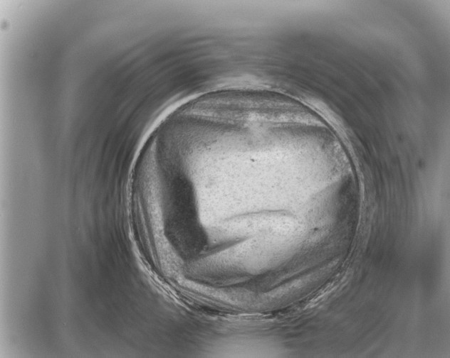 X0000087401008200705042031