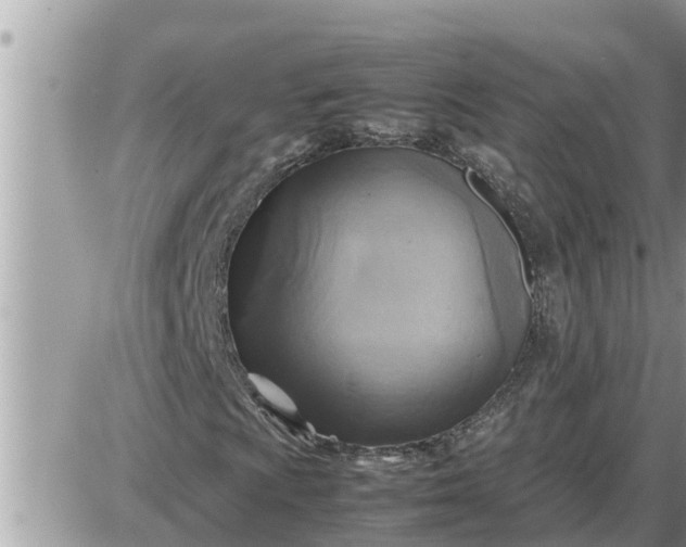 X0000087401009200705042030