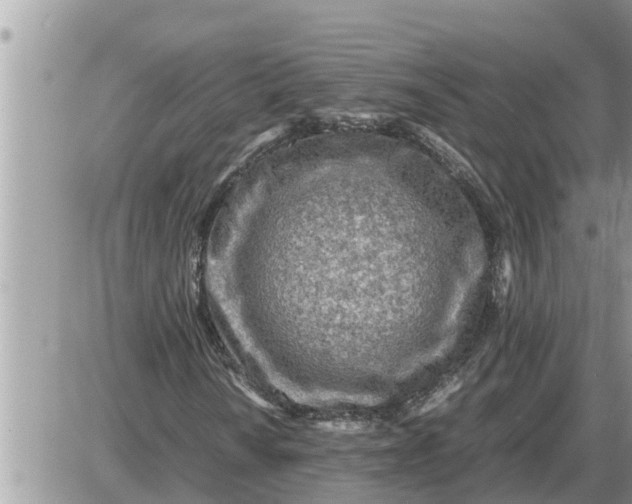 X0000087401010200705042030