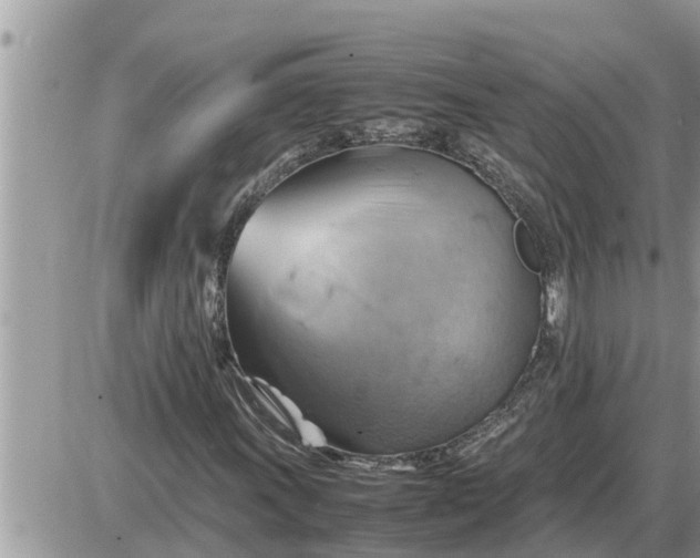 X0000087401011200705042030