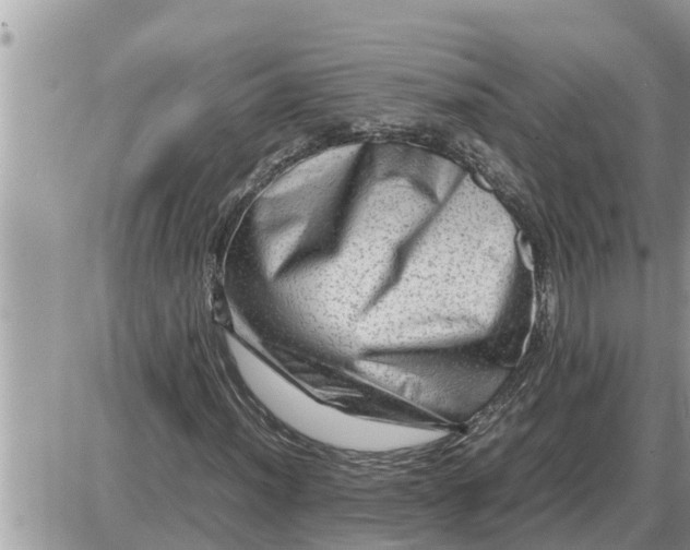 X0000087401012200705042030