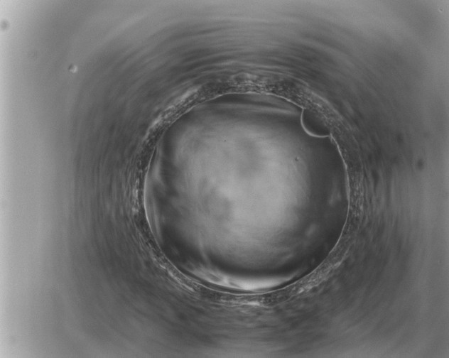 X0000087401013200705042030