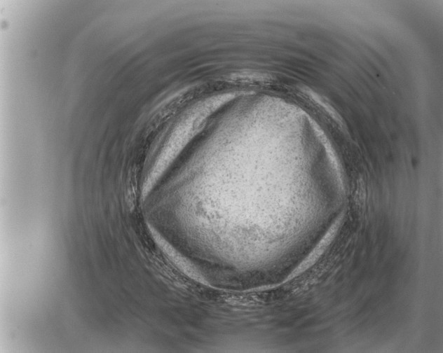 X0000087401015200705042030