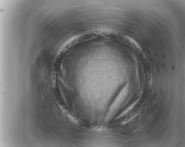 X0000087401016200705042030