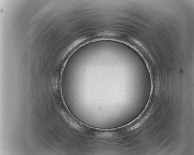 X0000087401017200705042030