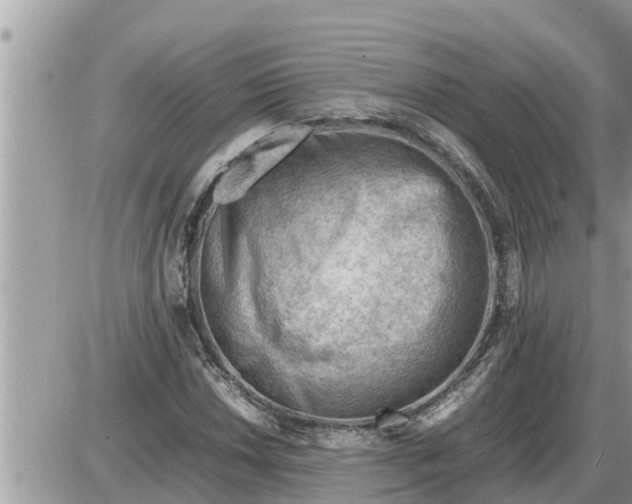 X0000087401018200705042030