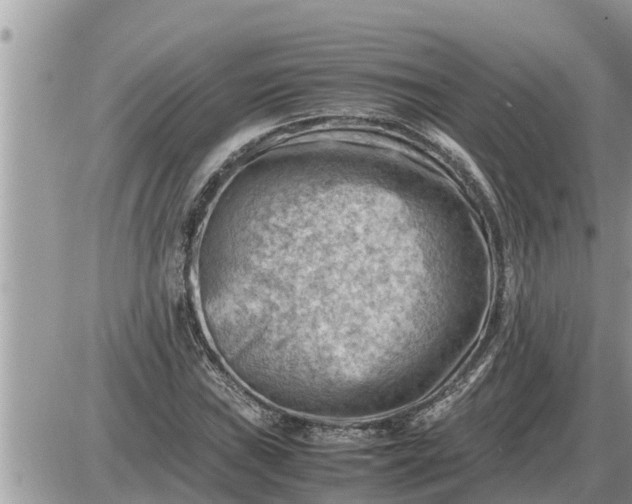 X0000087401019200705042030